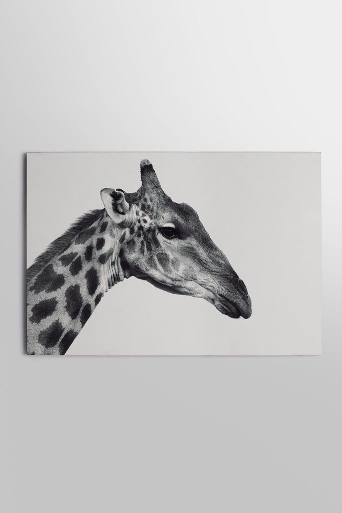 Placa Girafa 20cm x 29cm