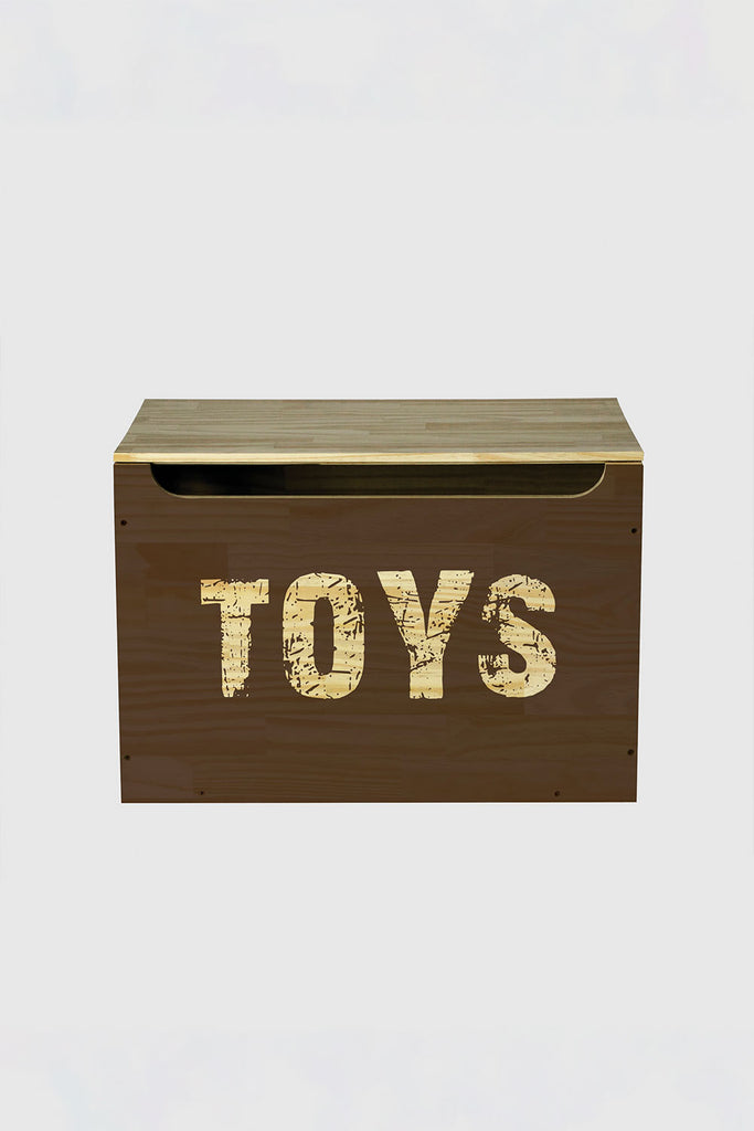 Baú Organizador Toys C/ Tampa 58cm x 40cm