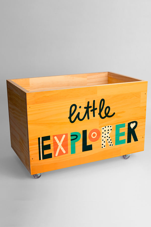 Baú Organizador Little Explorer 50cm x 35cm