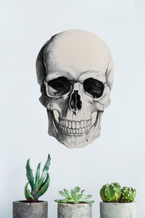 Placa Skull Formato 27,5cm x 41cm